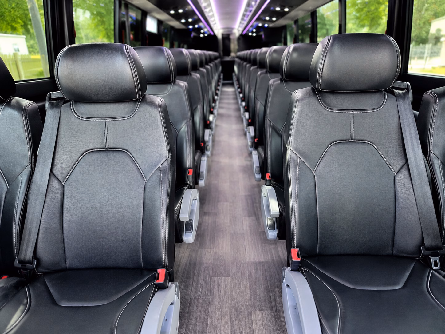 savannah long distance transportation